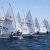 Voile